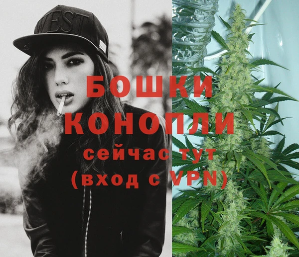 сатива Липки