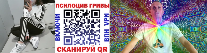 Псилоцибиновые грибы мицелий площадка официальный сайт Кораблино